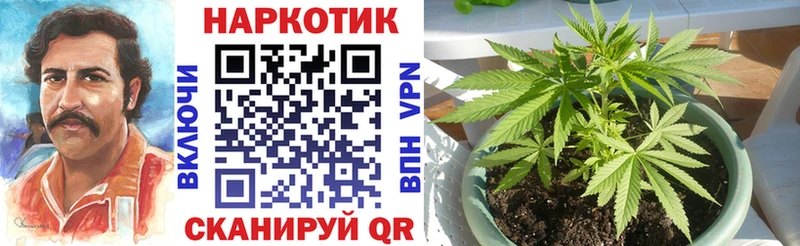 Магазины продажи наркотиков Нолинск Бошки Шишки  Alpha-PVP  Cocaine  Гашиш  МЕФ 