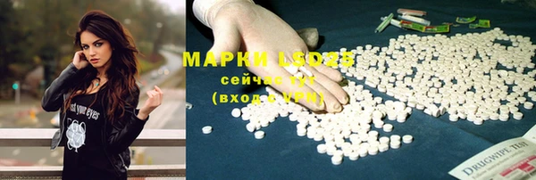 ECSTASY Новодвинск