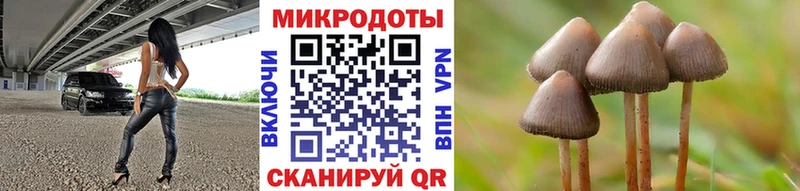 Псилоцибиновые грибы мицелий  Нолинск 